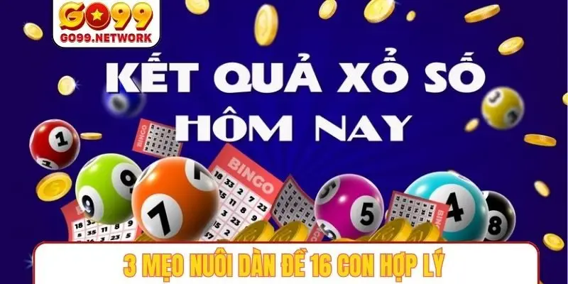 3 mẹo nuôi dàn đề 16 con hợp lý