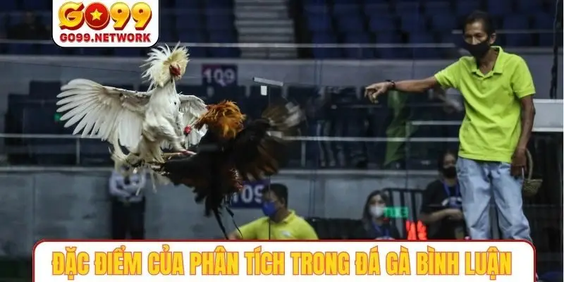 Đặc điểm của các lời phân tích trong đá gà bình luận