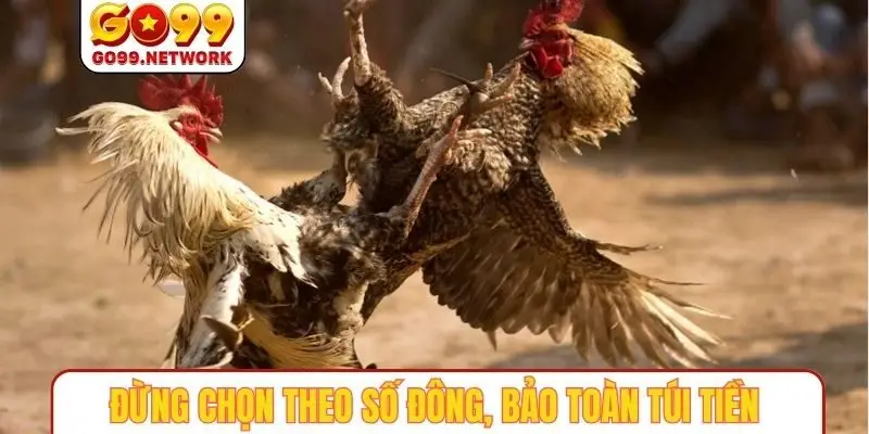 Đừng chọn theo số đông, bảo toàn túi tiền