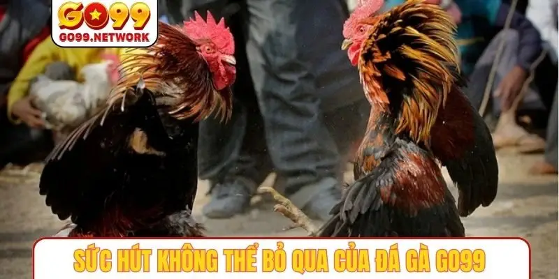 Sức hút không thể bỏ qua của đá gà GO99